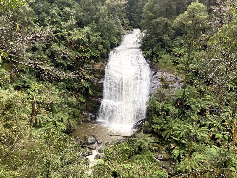Beech Forest - Little Aire Falls