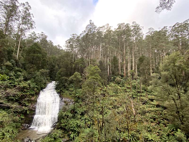 Beech Forest - Little Aire Falls