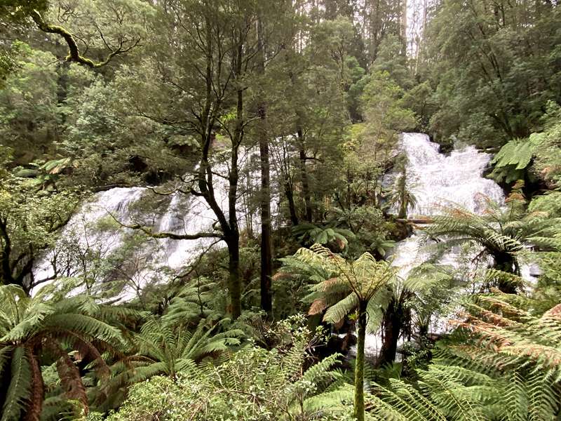 Beech Forest - Triplet Falls