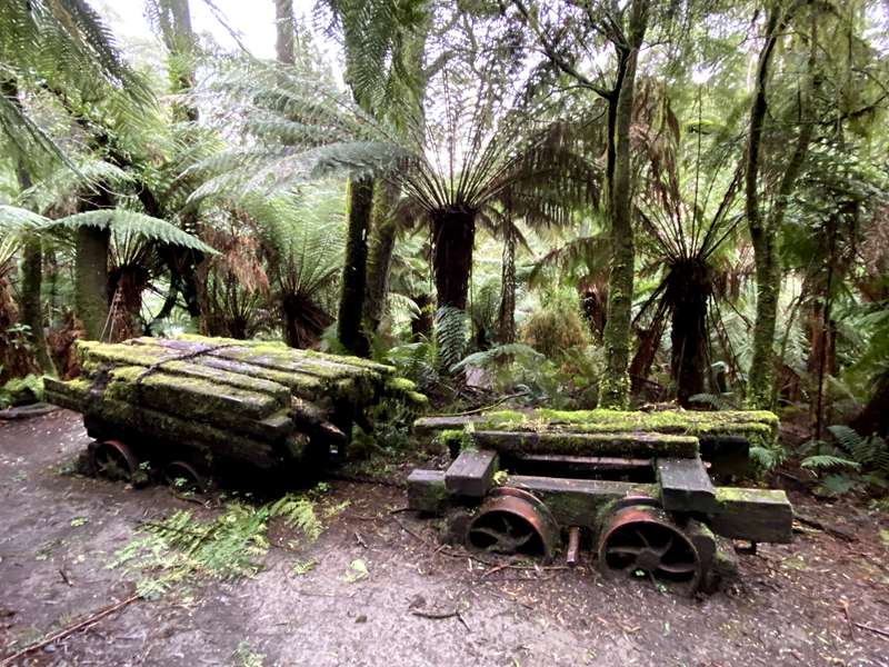 Beech Forest - Triplet Falls