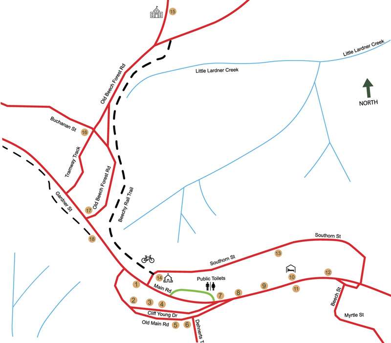 Beech Forest Walking and Driving Tour