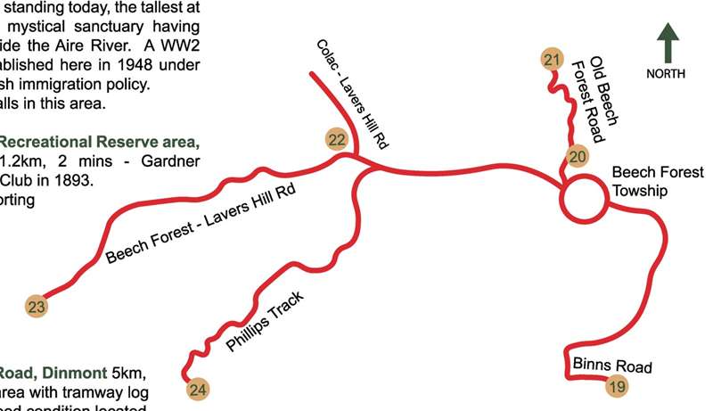 Beech Forest Walking and Driving Tour