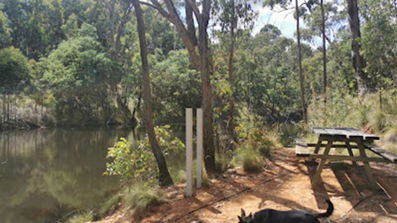 Beechworth - Bates Dam Historic Walk