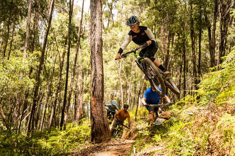 Beechworth - Indigo Epic Trail