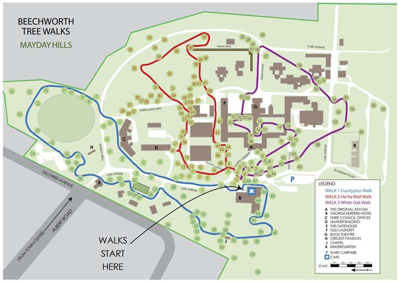 <H3>Mayday Hills Gardens Walk Map</H3>