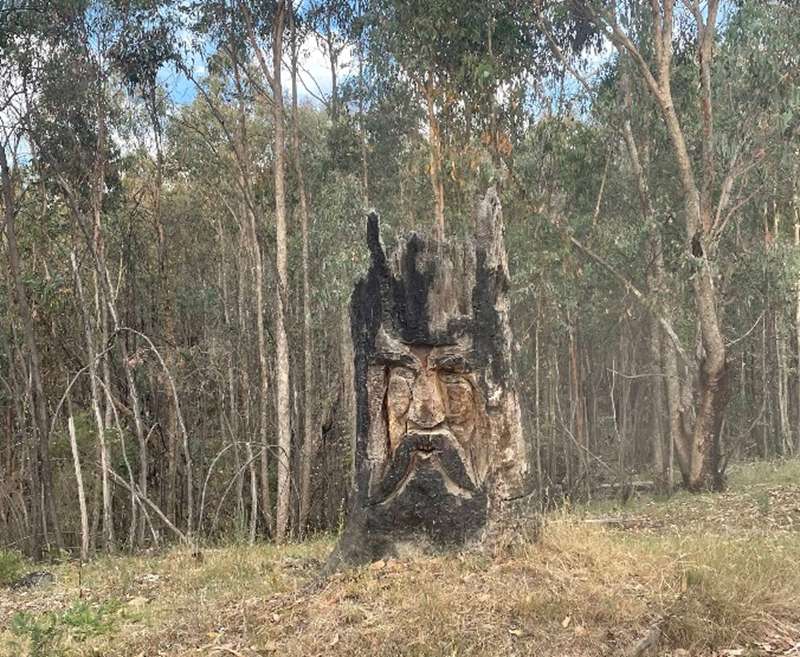 Beechworth - The Old Man of the Forest