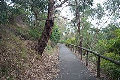 Belgrave Railway Trail