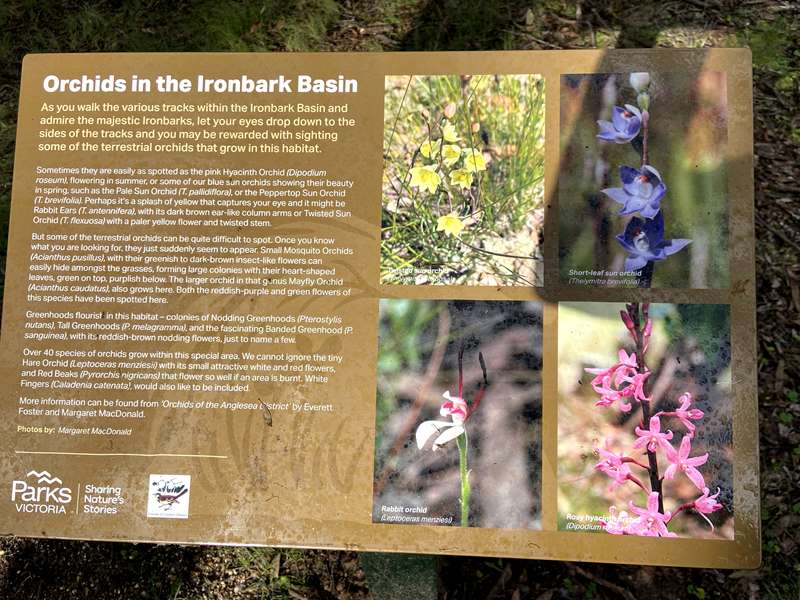 Bells Beach - Ironbark Basin Nature Trail