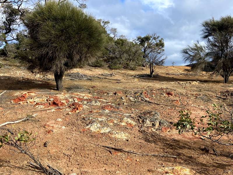 Bells Beach - Yirripa Yan (Wadawurrung Cultural Walk)