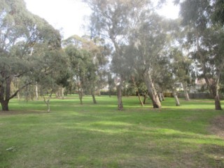 Belmont Park Dog Off Leash Area (Balwyn)