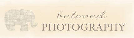 Beloved Photography (Melbourne)