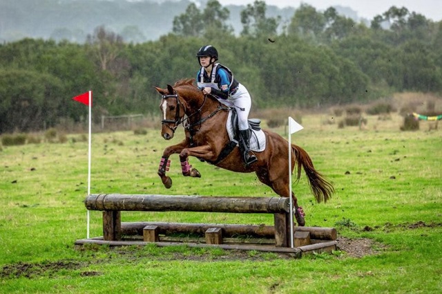 Beltain Park Horse Riding Centre (Seville)