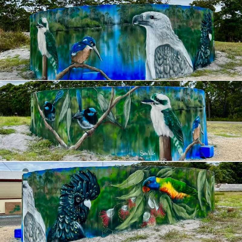 Bemm River CFA Water Tank Murals