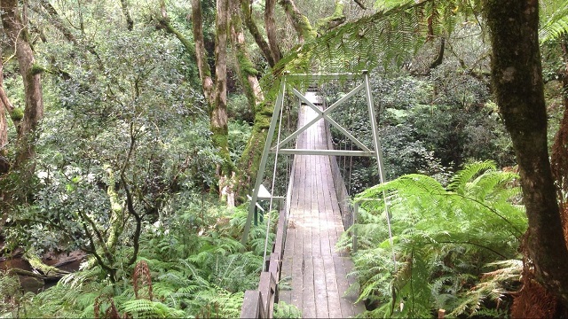 Club Terrace - Bemm River Scenic Reserve