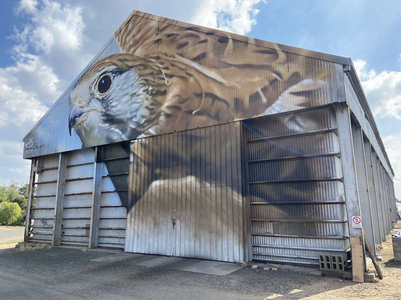 Goorambat Silo Art