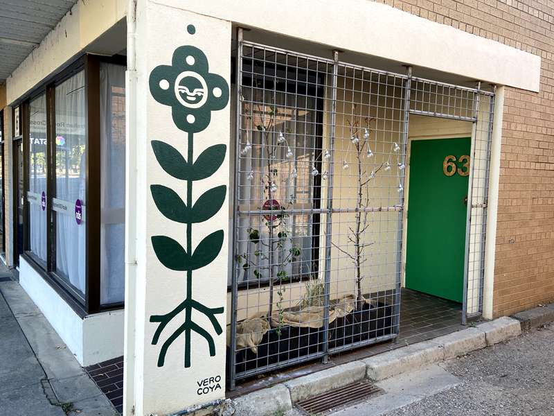 Benalla Street Art
