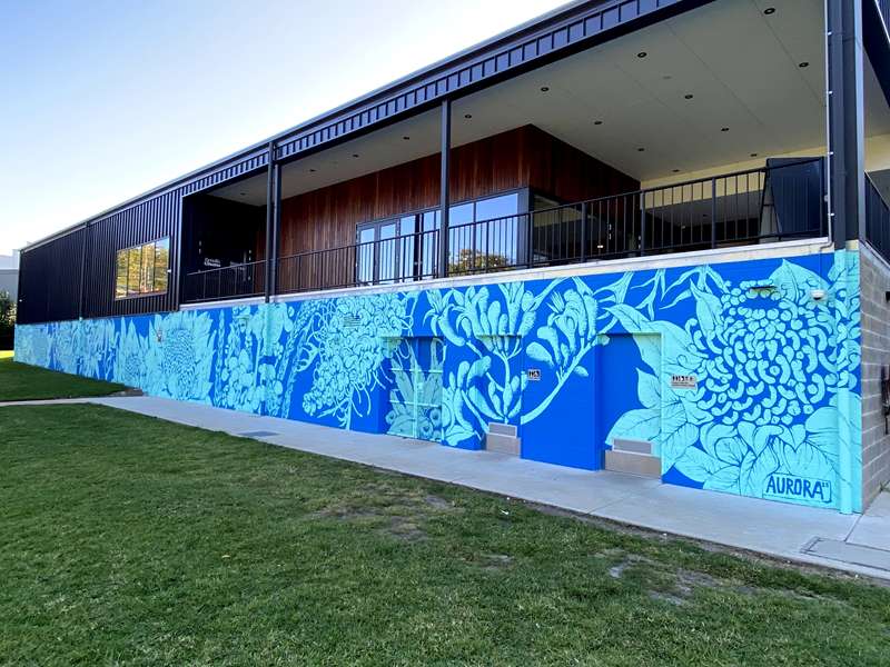 Benalla Street Art