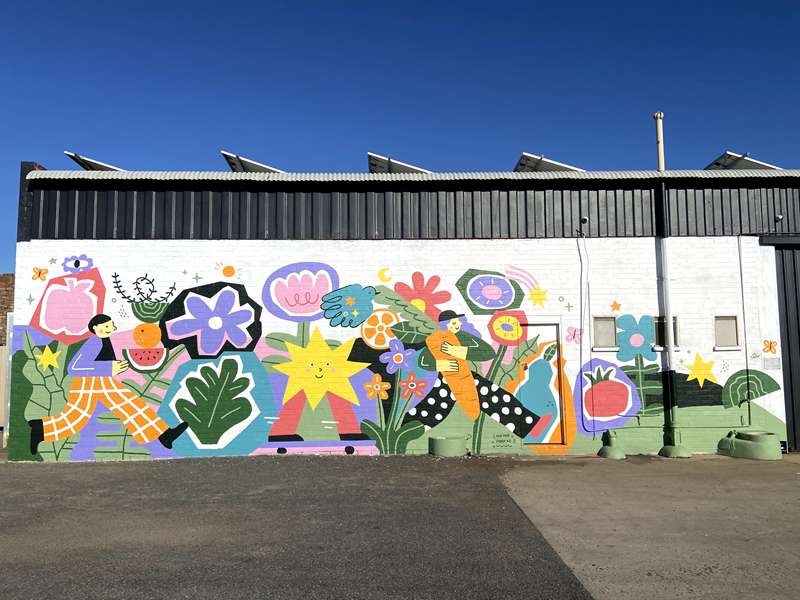 Benalla Street Art