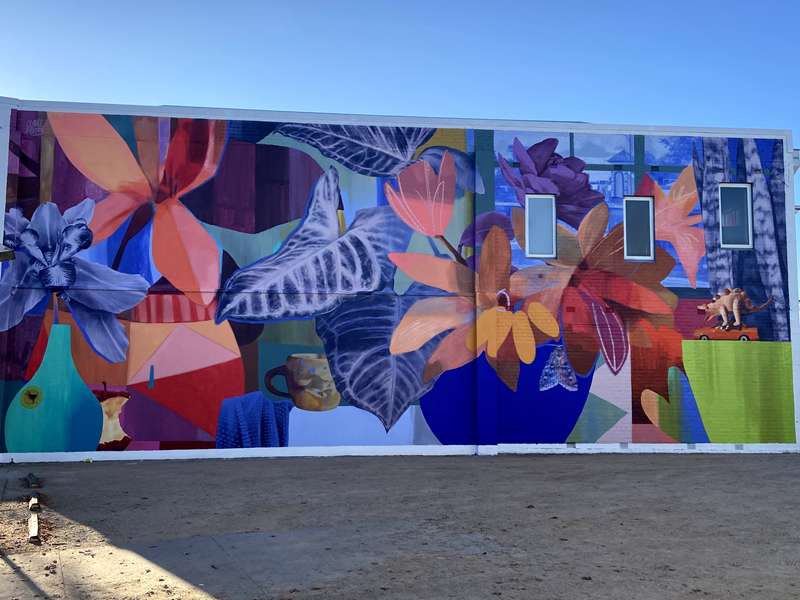 Benalla Street Art