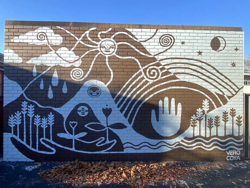 Benalla Street Art