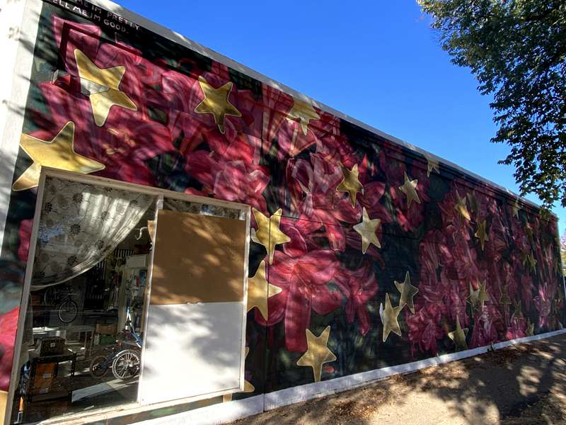 Benalla Street Art