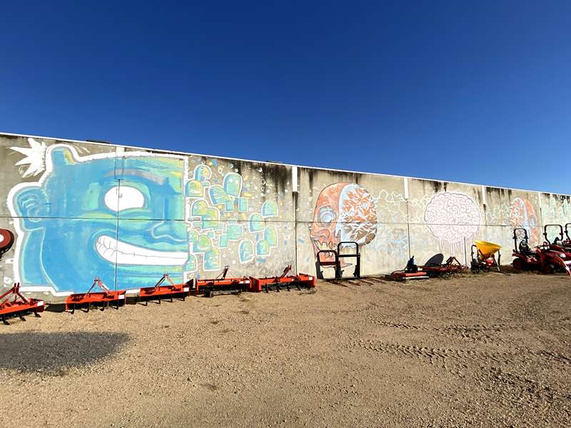 Benalla Street Art