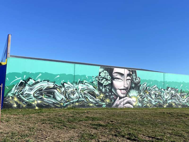Benalla Street Art