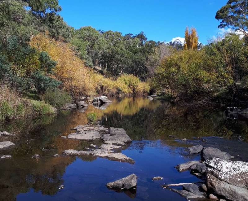Benambra - Taylor's Crossing Camping Area