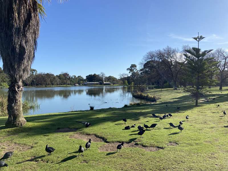 Bendigo - Lake Weeroona