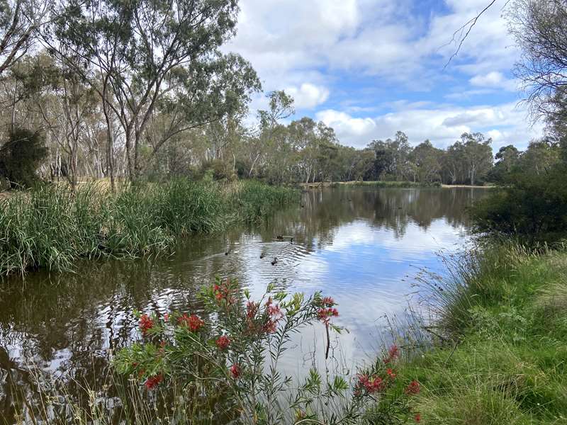 Bendigo - Rotary Gateway Park (Kangaroo Flat)
