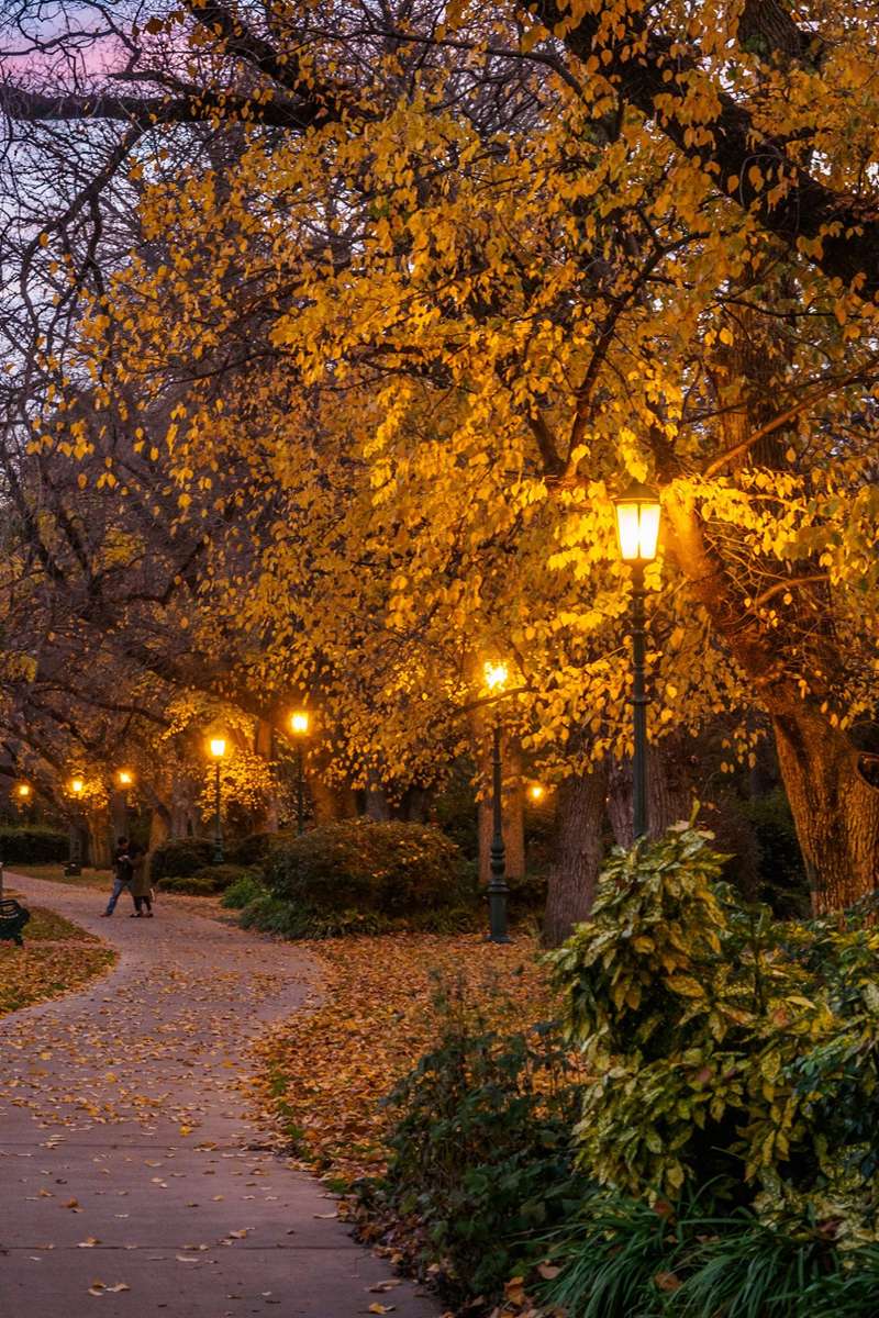 Autumn Bendigo
