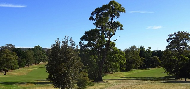 Bendigo - Belvoir Park Golf Course