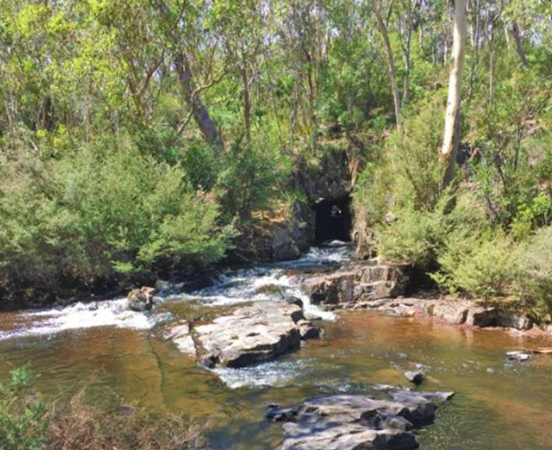 Bendoc - Delegate River Tunnel