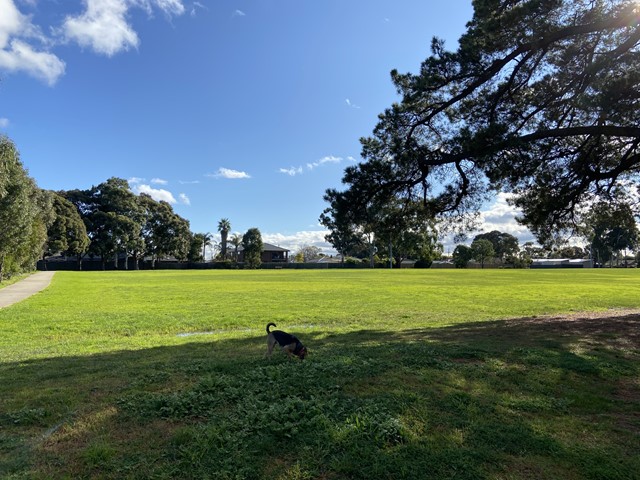 Benedikt Reserve Dog Off Leash Area (Scoresby)