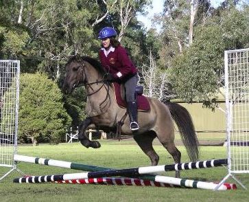 Berwick Riding Club (Clyde North)