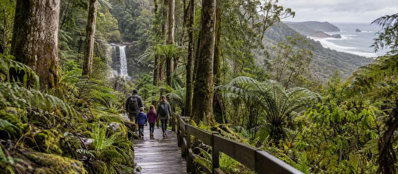 Best Family Activities in the Otways