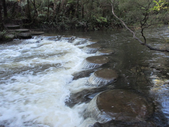 Little Peninsula and Big Peninsula Tunnels (McMahons Creek)