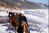 Cape Otway - Bimbi Park Horse Riding and Rock Climbing