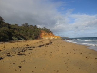 Birdrock Beach (Mount Martha)