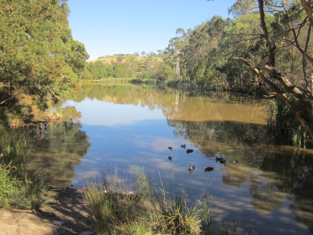 Birdsland Reserve (Belgrave Heights)