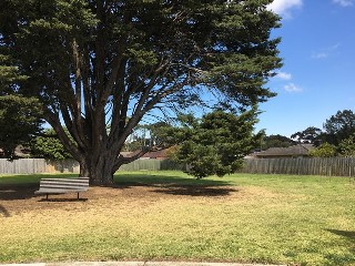 Birkley Reserve Dog Off Leash Area (Noble Park North)