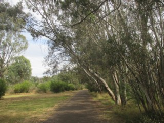 Birrarrung Park (Templestowe Lower)