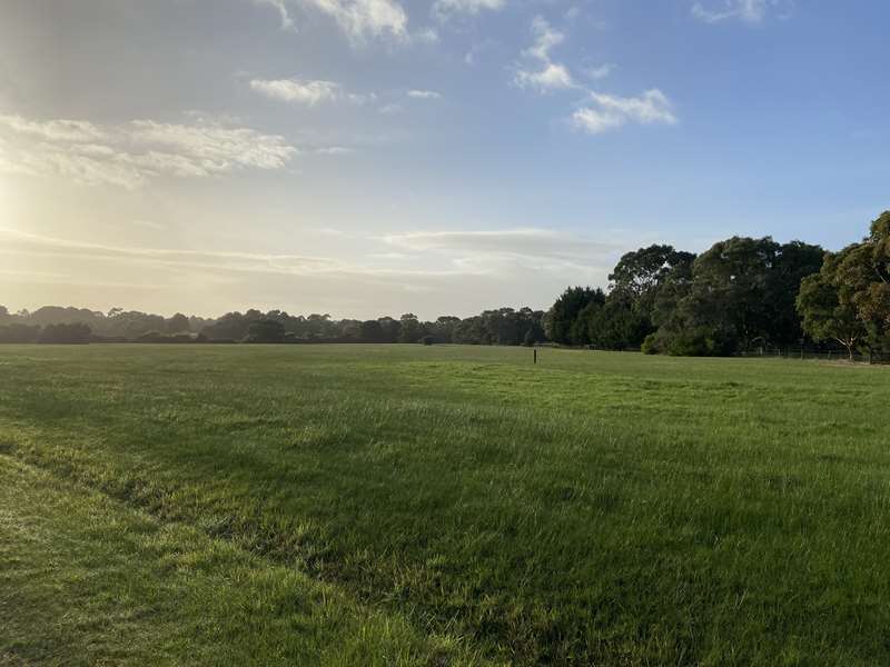 Bittern Recreation Reserve Dog Off Leash Area (Bittern)