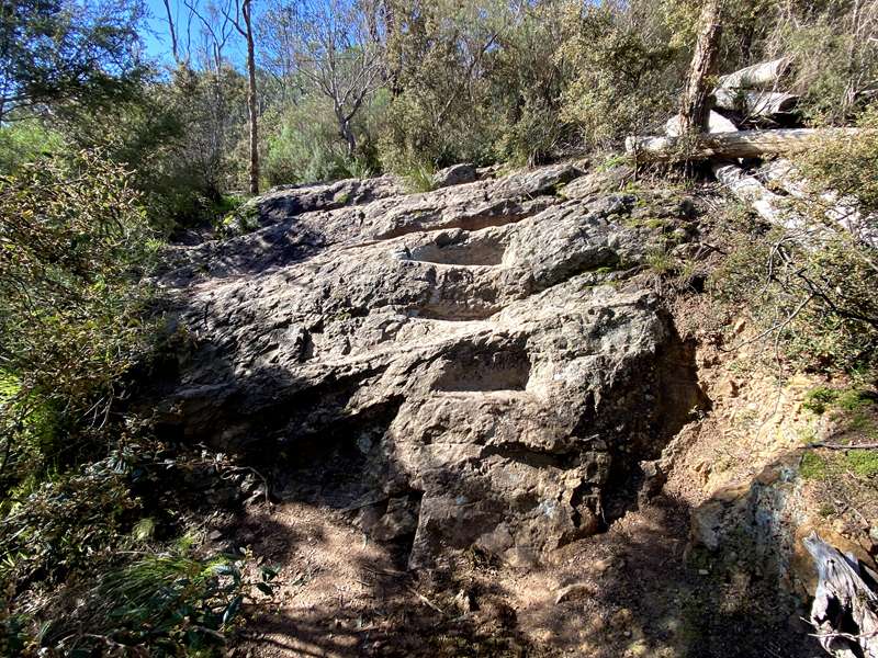 Black Flat Walk (Warrandyte)