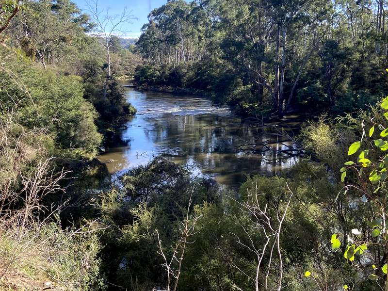 Black Flat Walk (Warrandyte)