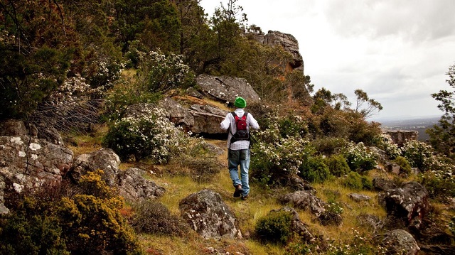 Telangatuk East - Black Range State Park