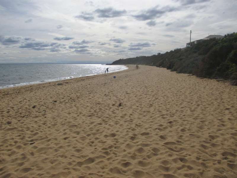 Black Rock Beach Dog Off Leash Area (Black Rock)