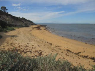 Black Rock Point Beach