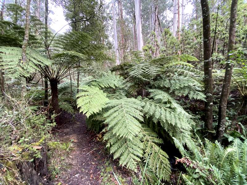 Blackwood - Lerderderg Heritage River Walk