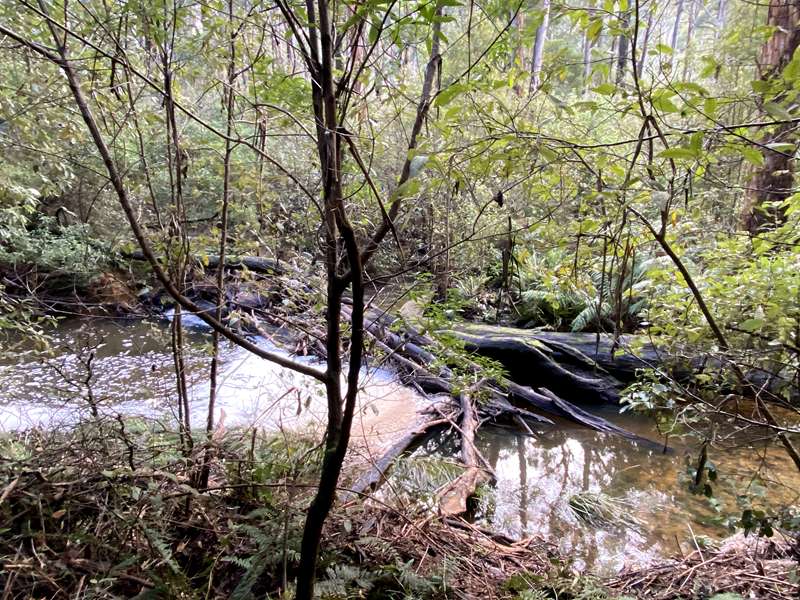 Blackwood - Lerderderg Heritage River Walk
